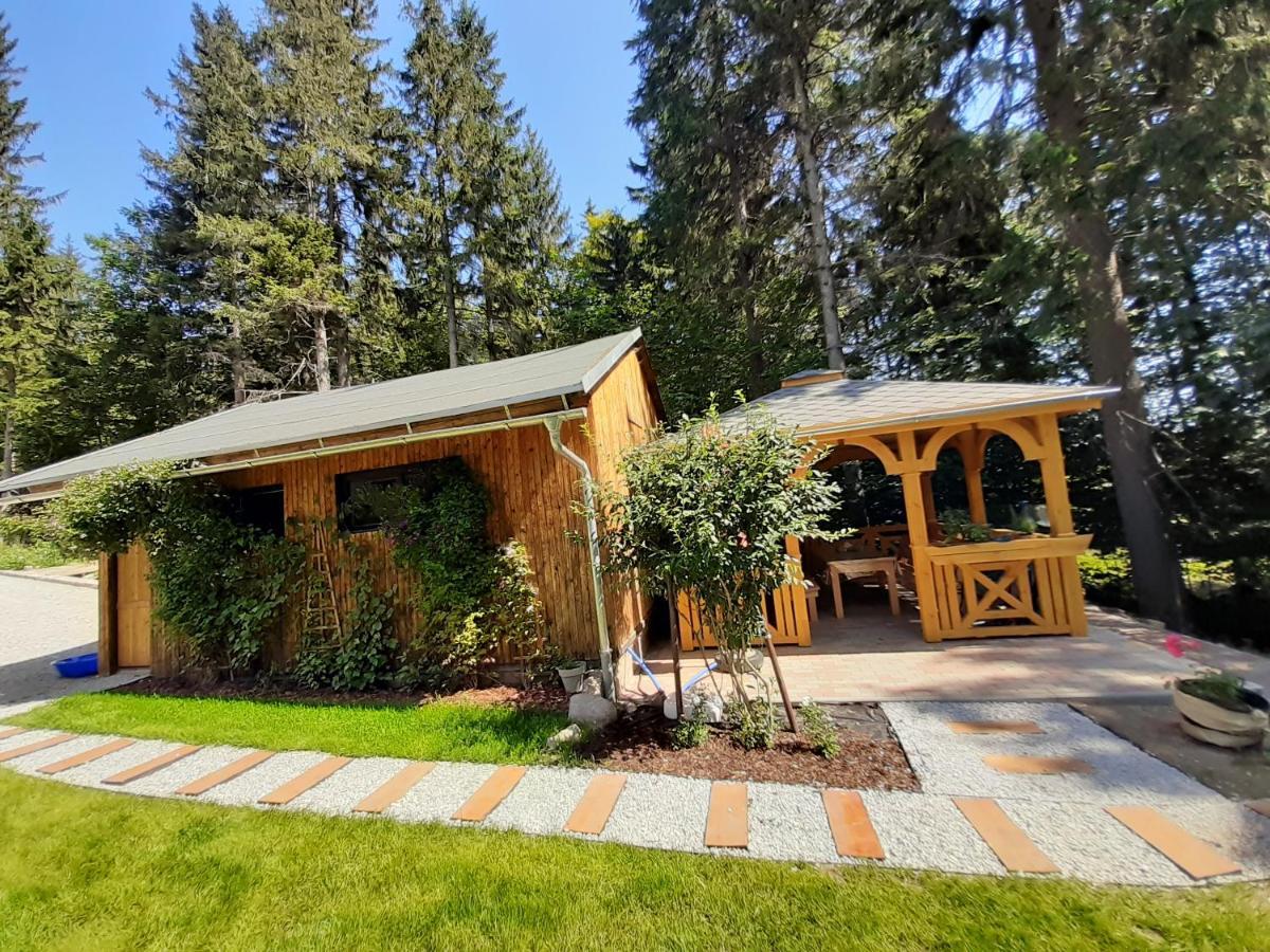 Apartamenty Przy Swierku Шклярска Поремба Екстериор снимка